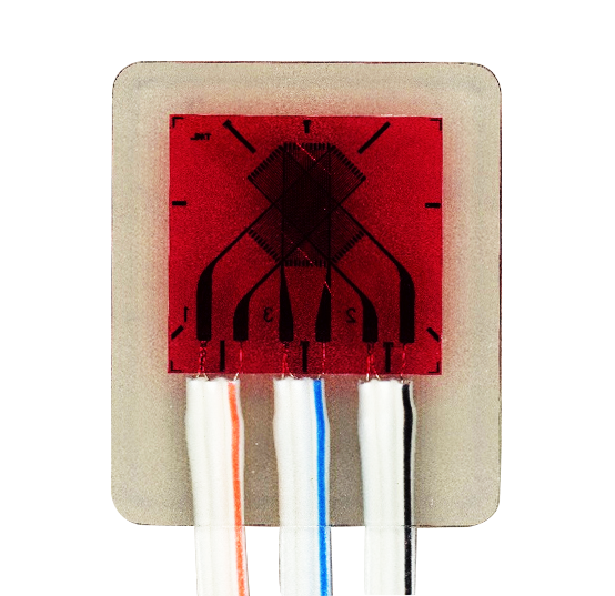 WF