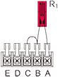 output polarity