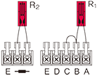 output polarity