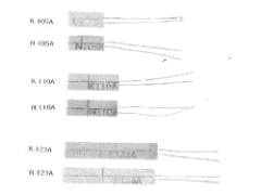 High-temperature Strain Gauge: K, N Series